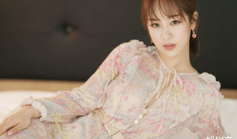 娱乐圈吃瓜杨紫是谁啊百度云,杨紫的星光之路